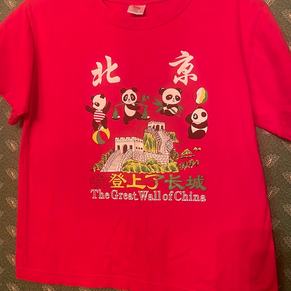 Kids great wall of China T-shirt
